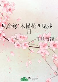 夙命緣`木槿花西見殘月